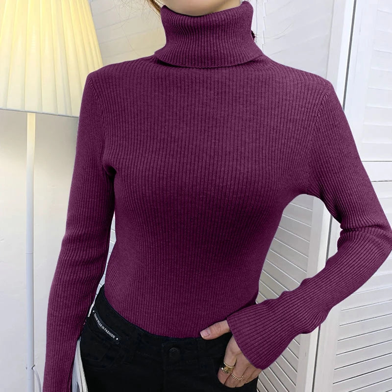 Heliar Women Fall Turtleneck Sweater Knitted Soft Pullovers Cashmere Jumpers Basic Soft Sweaters For Women 2024 Autumn Winter